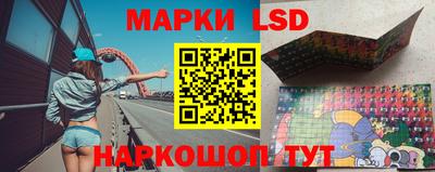 скорость Кингисепп