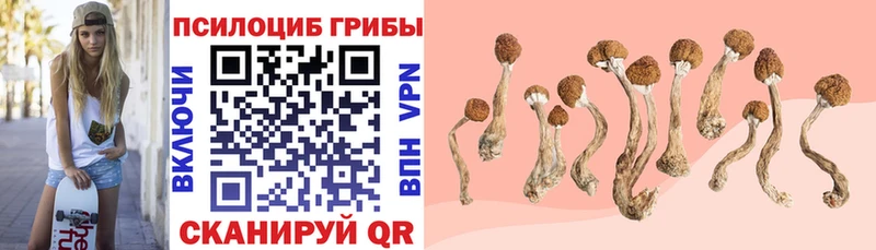 Галлюциногенные грибы GOLDEN TEACHER  Арсеньев 