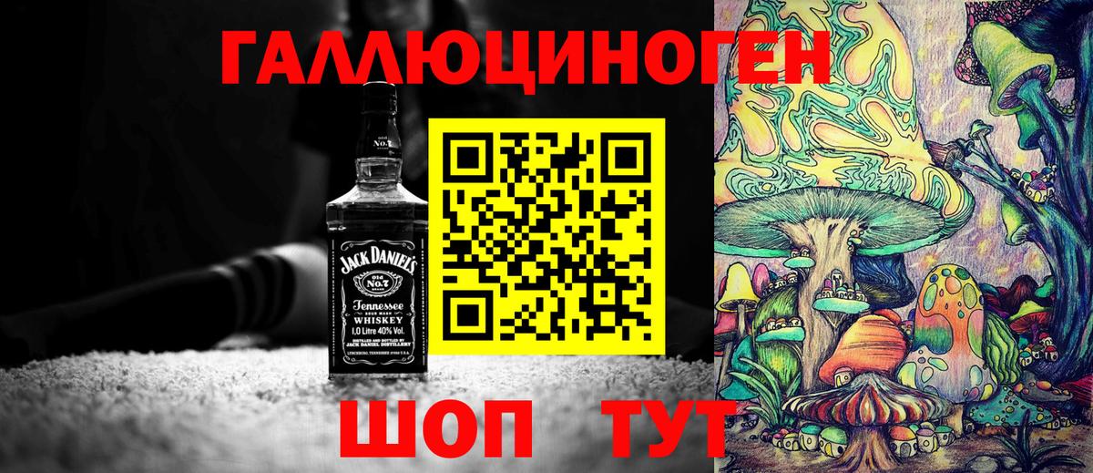 Псилоцибиновые грибы Cubensis  Арсеньев  Галлюциногенные грибы ЛСД 