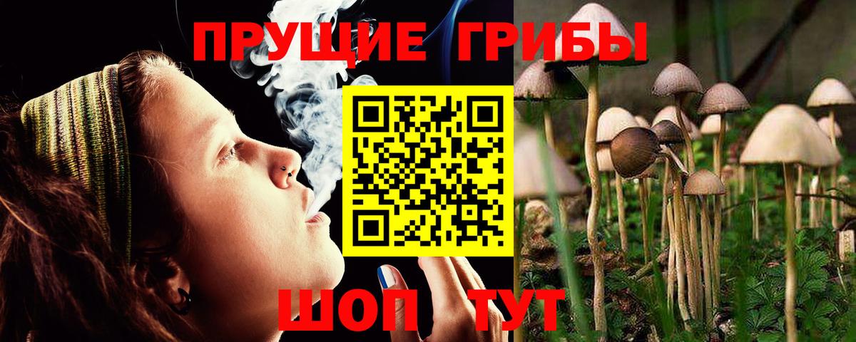 Псилоцибиновые грибы прущие грибы Арсеньев