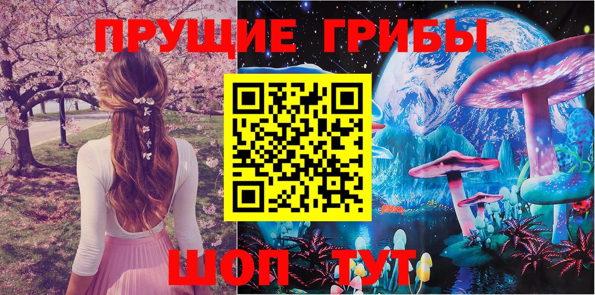 наркотики  Галлюциногенные грибы GOLDEN TEACHER  Вход с VPN  Арсеньев 